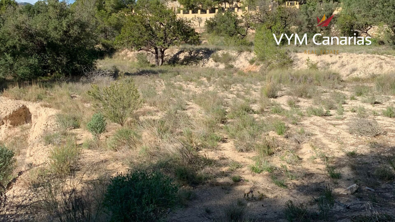 Земля на Коста-Бланка, Испания, 70 000 м² - фото 1