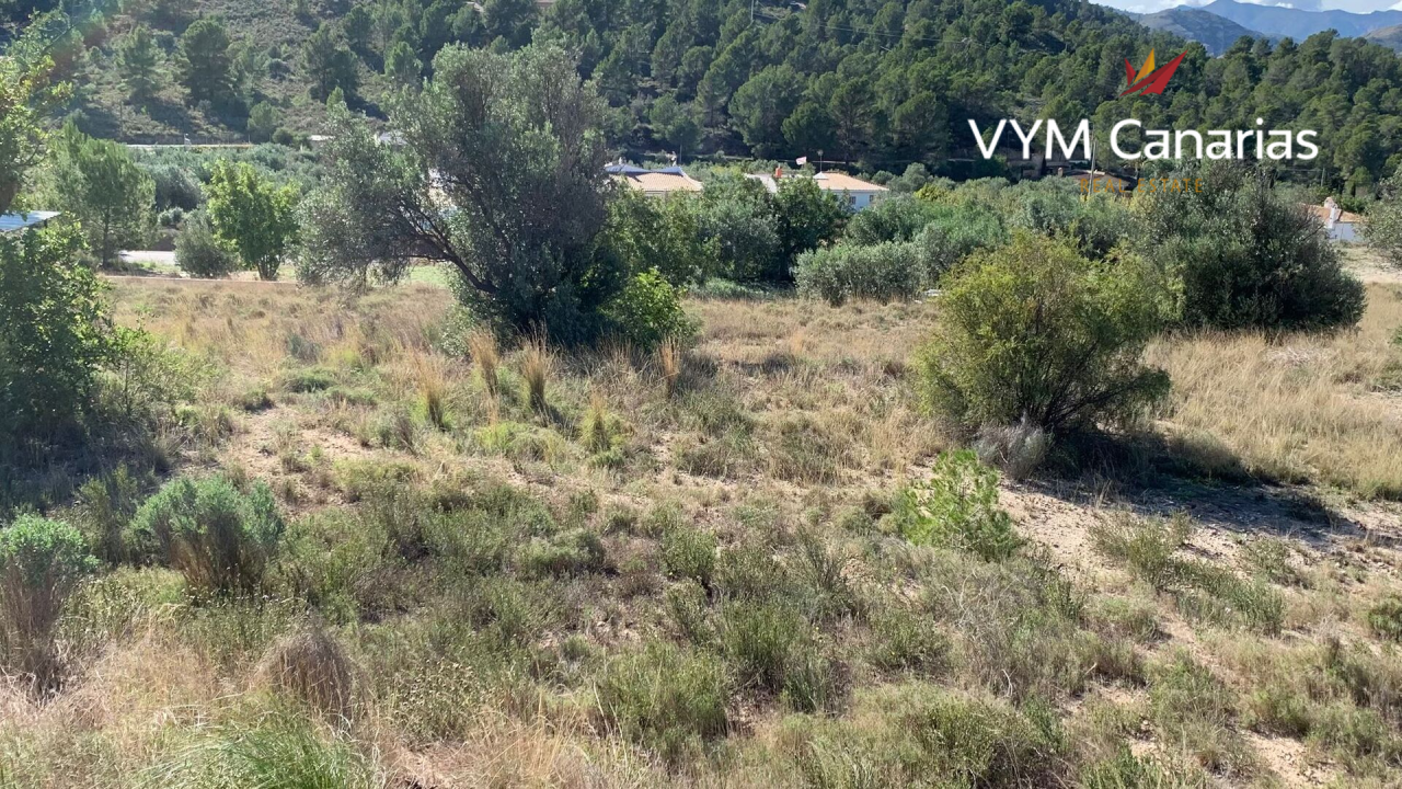 Земля на Коста-Бланка, Испания, 70 000 м² - фото 2