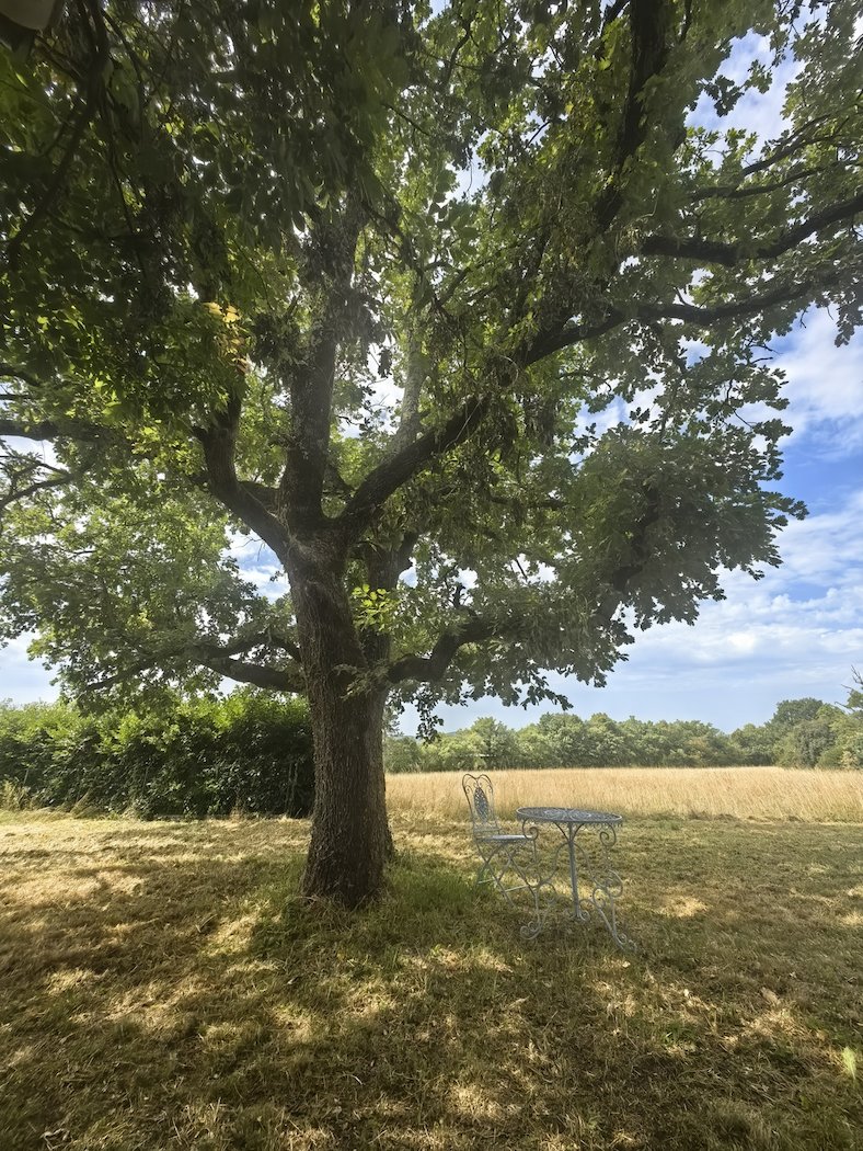 Земля в Комене, Словения, 10 793 м² - фото 3