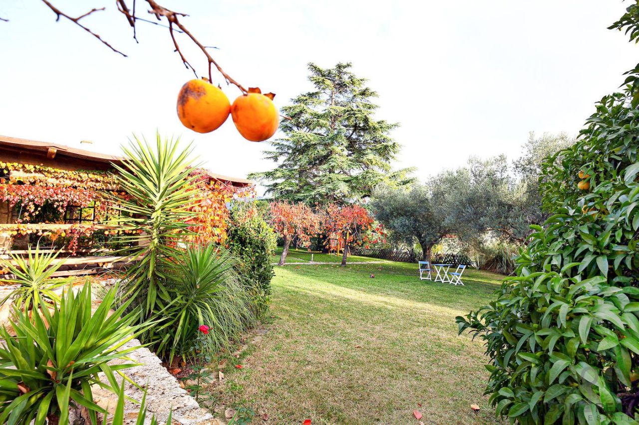 Дом в Пиране, Словения, 214 м² - фото 5