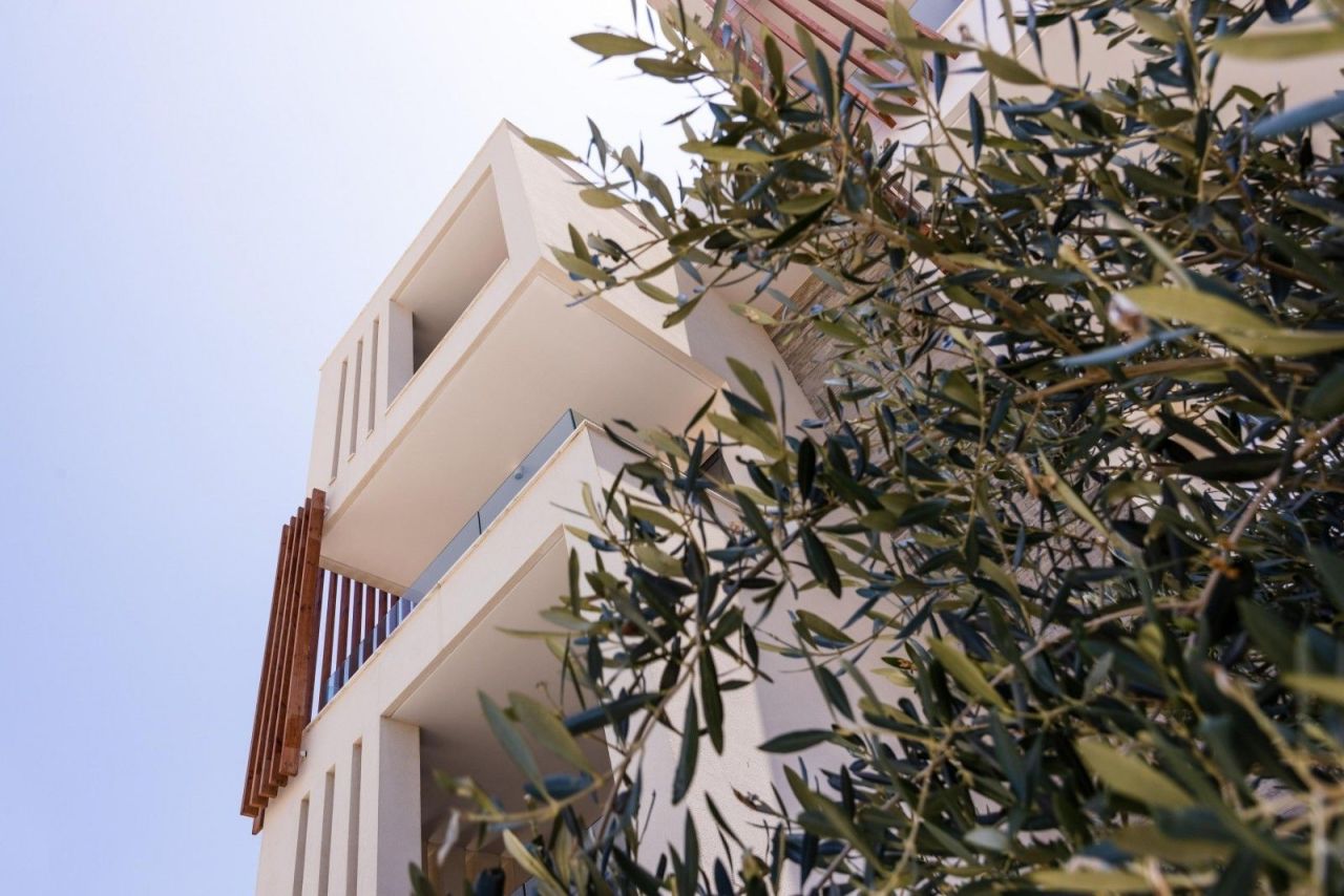 Коммерческая недвижимость в Пафосе, Кипр - фото 9