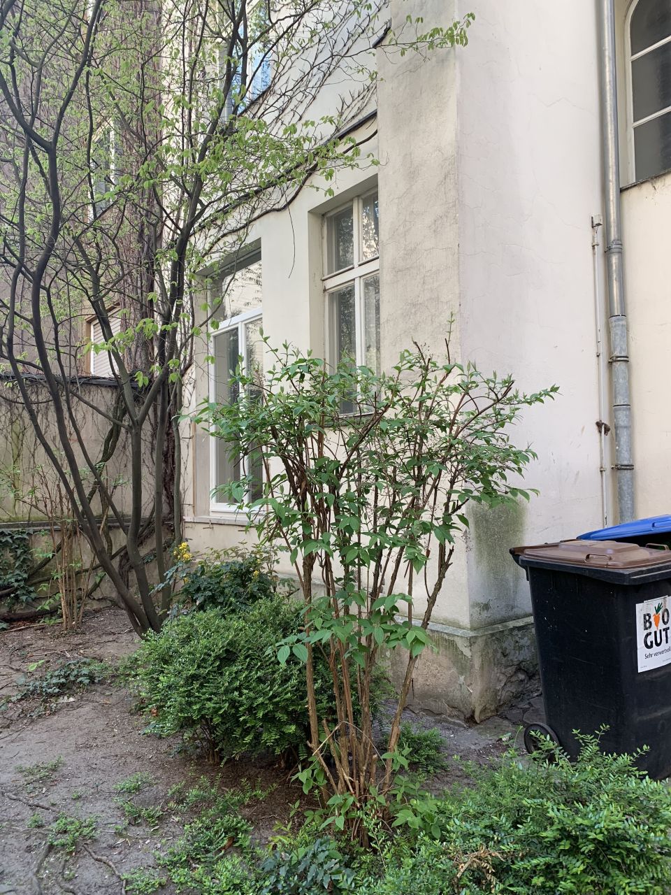 Квартира в Берлине, Германия, 78 м² - фото 3