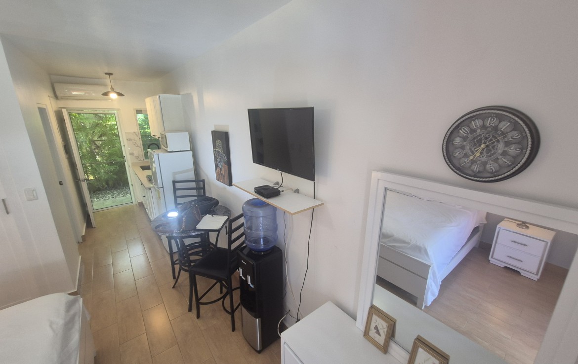 Квартира в Сосуа, Доминиканская Республика, 48 м² - фото 8