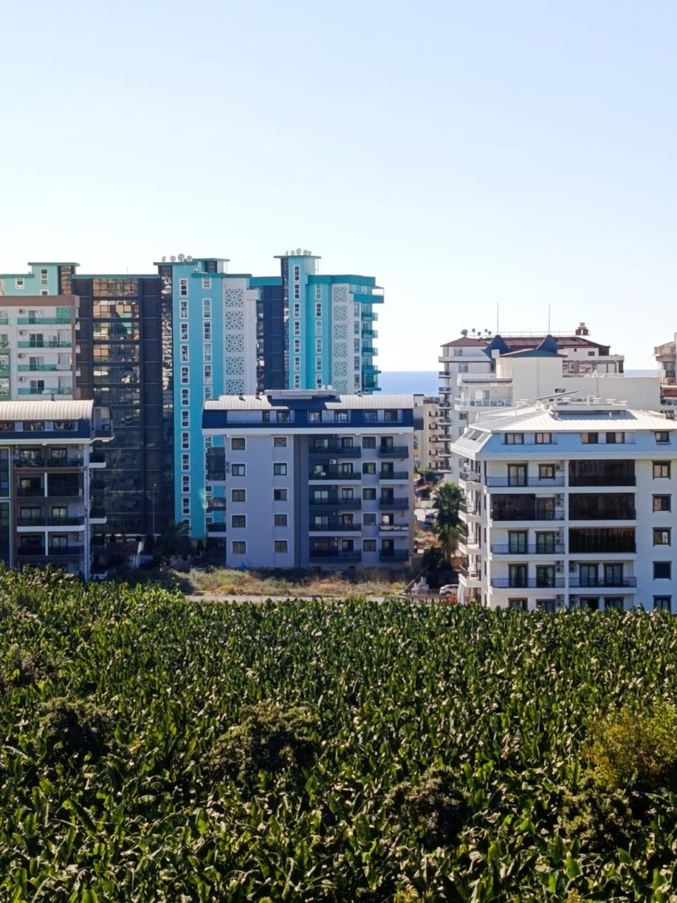 Апартаменты в Алании, Турция, 60 м² - фото 3