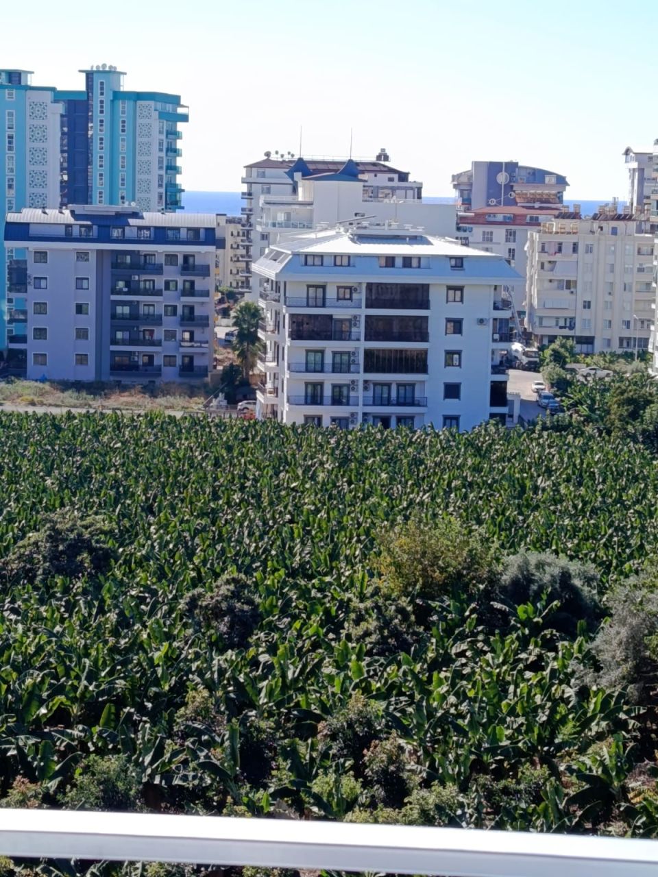 Апартаменты в Алании, Турция, 60 м² - фото 6