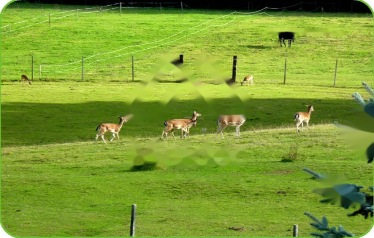 Дом в Радовлице, Словения, 300 м² - фото 2