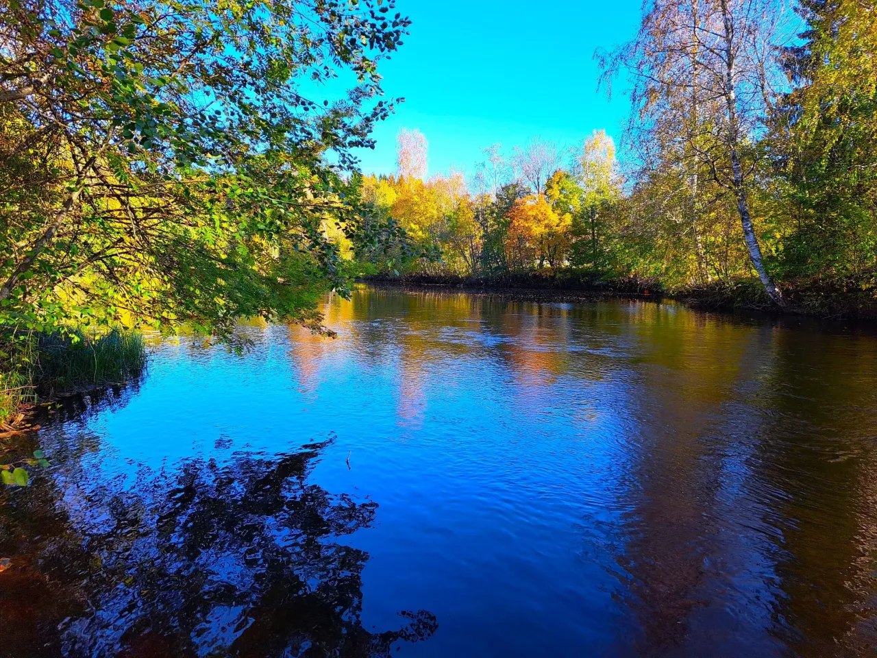 Дом в Перхо, Финляндия, 78 м² - фото 18