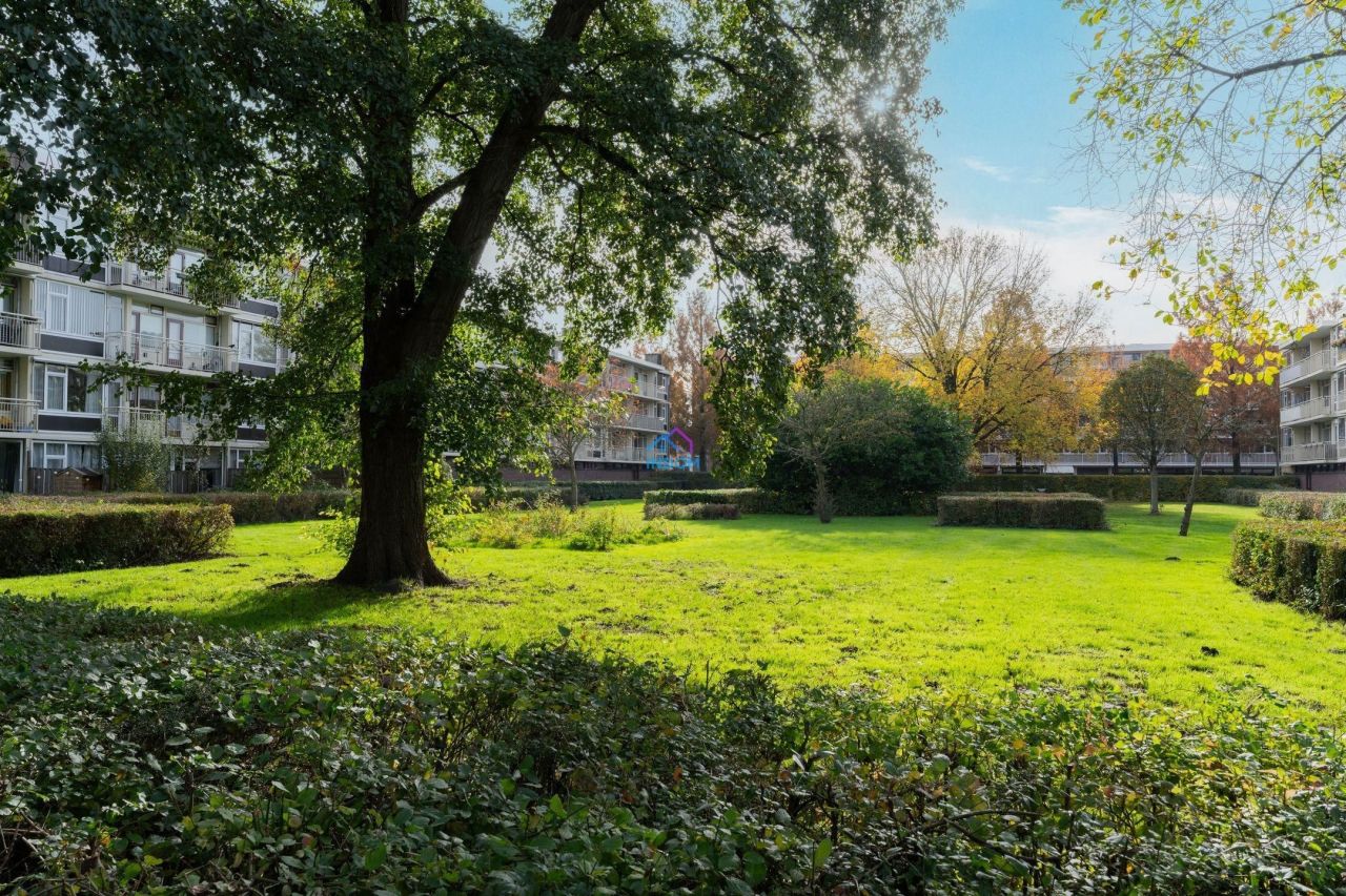 Апартаменты в Амстердаме, Нидерланды, 45 м² - фото 14