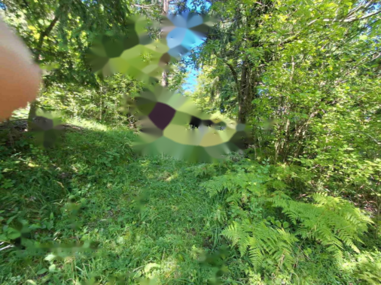 Дом в Любляне, Словения, 89 м² - фото 4