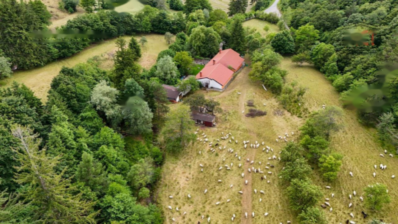 Дом в Бовеце, Словения, 742 м² - фото 7