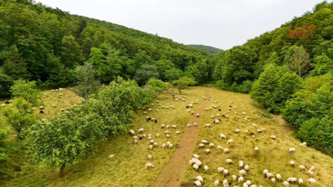 Дом в Бовеце, Словения, 742 м² - фото 8