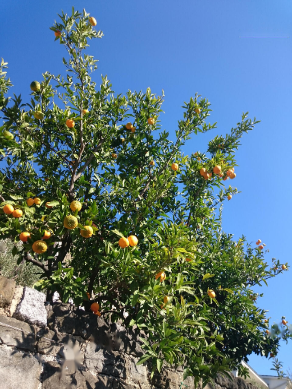 Дом в Портороже, Словения, 287 м² - фото 13