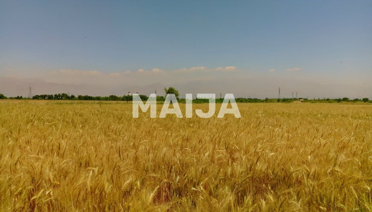 Земля Stoenești, Румыния, 16 000 000 м² - фото 1