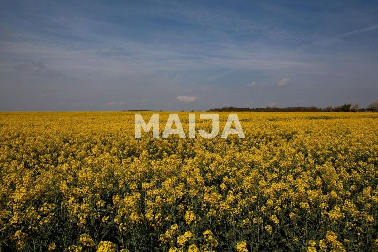 Земля Stoenești, Румыния, 16 000 000 м² - фото 2