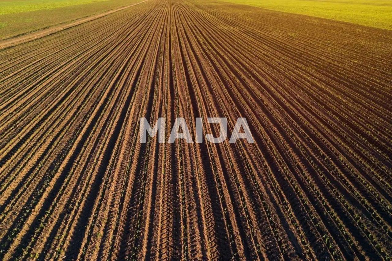 Земля Stoenești, Румыния, 16 000 000 м² - фото 4