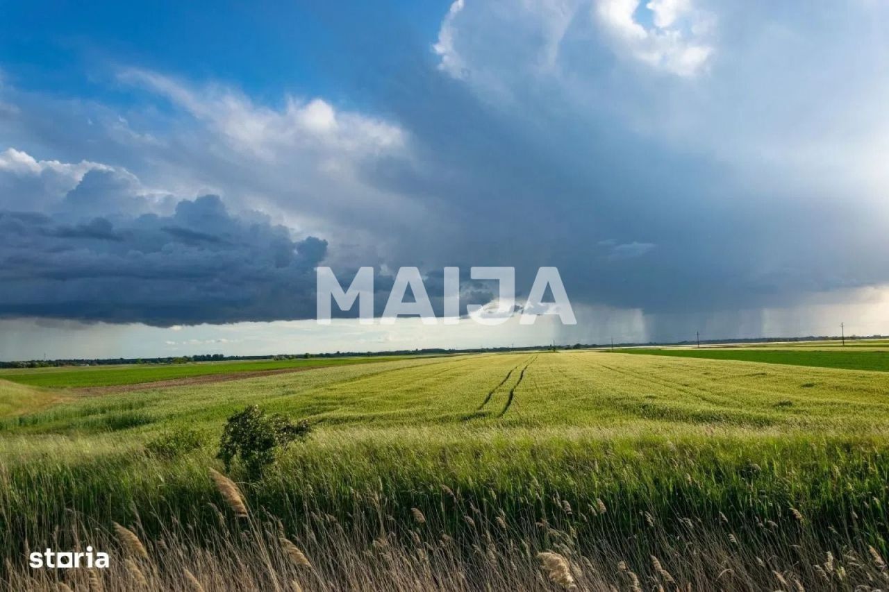 Земля Stoenești, Румыния, 16 000 000 м² - фото 5