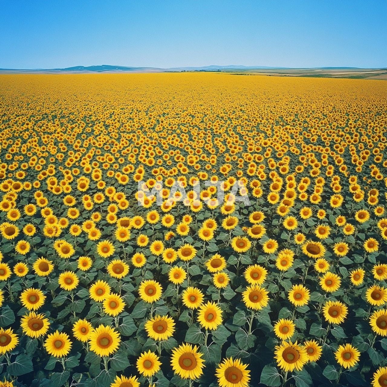 Земля Stoenești, Румыния, 16 000 000 м² - фото 11