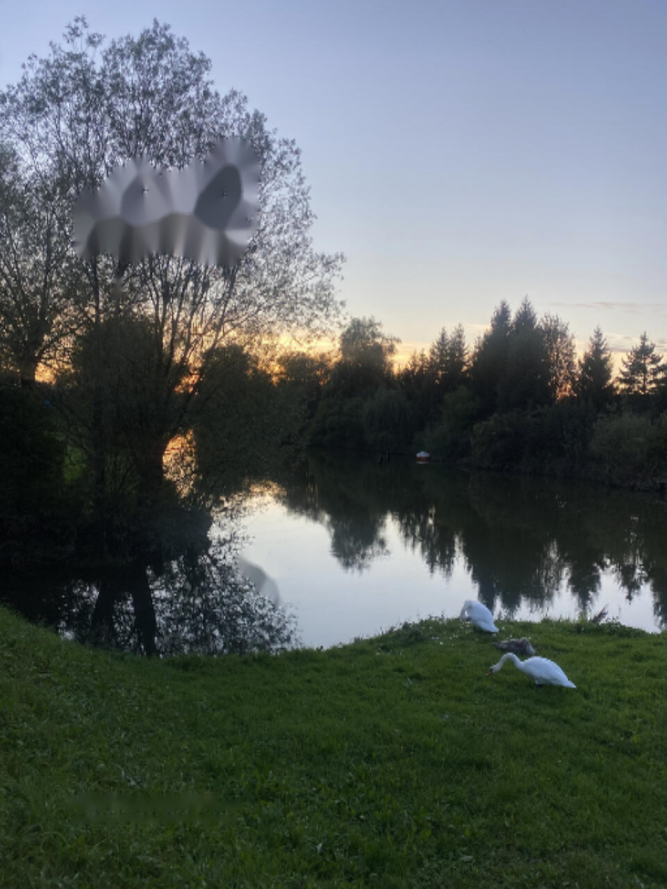 Дом в Любляне, Словения, 144 м² - фото 2