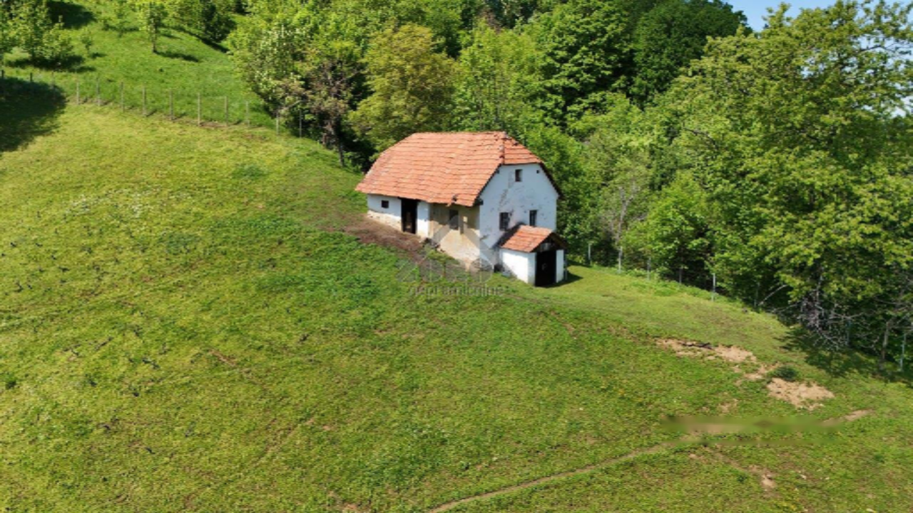 Ферма в Видеме, Словения, 47 657 м² - фото 6