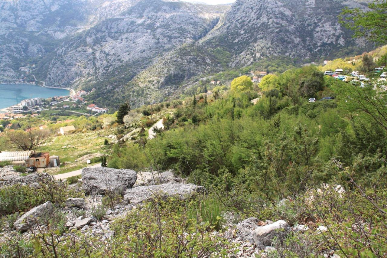 Земля в Которе, Черногория, 42.3 сот. - фото 5