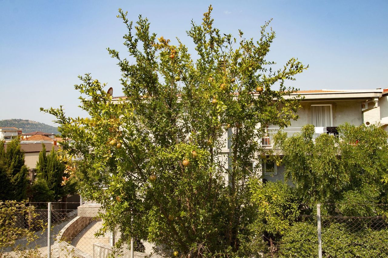 Дом в Баре, Черногория, 188 м² - фото 16