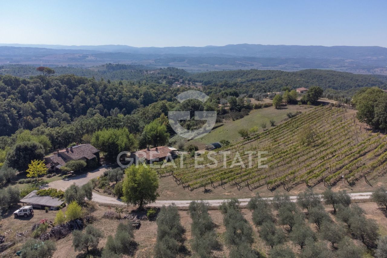 Дом в Читта-делла-Пьеве, Италия, 369.25 м² - фото 6