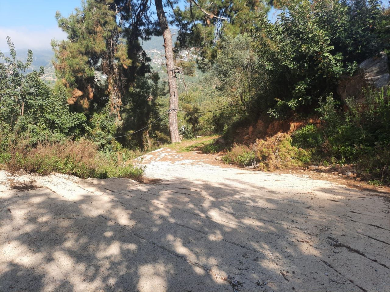 Апартаменты в Алании, Турция, 1 465 м² - фото 7