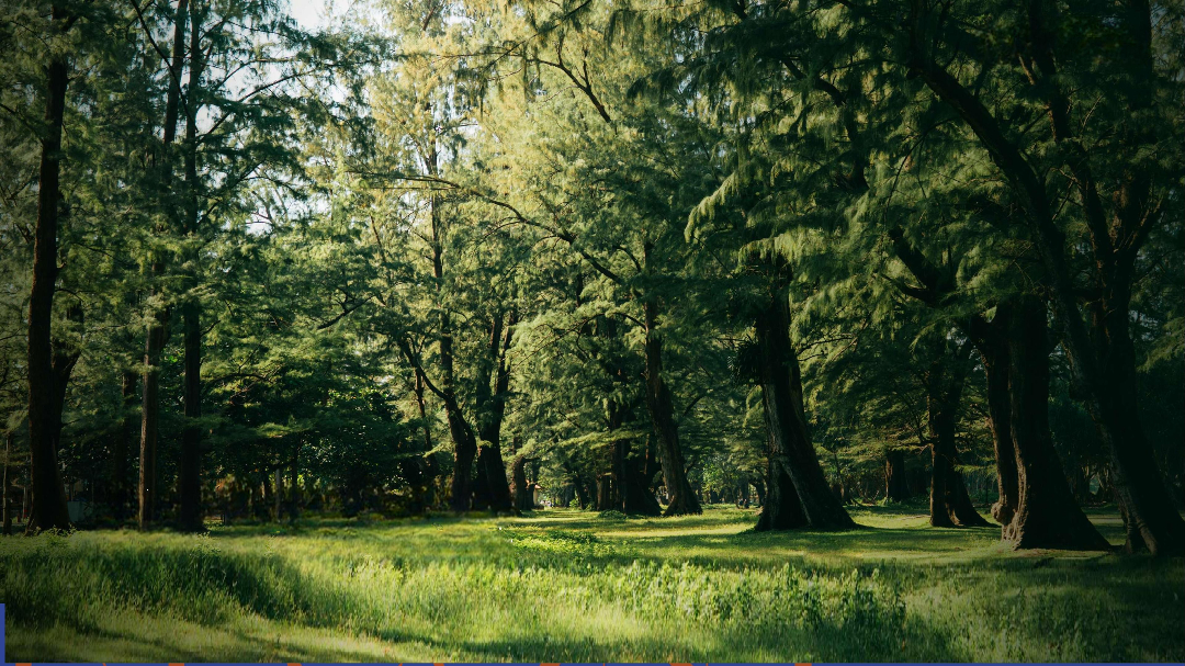 Апартаменты на острове Пхукет, Таиланд, 35 м² - фото 13