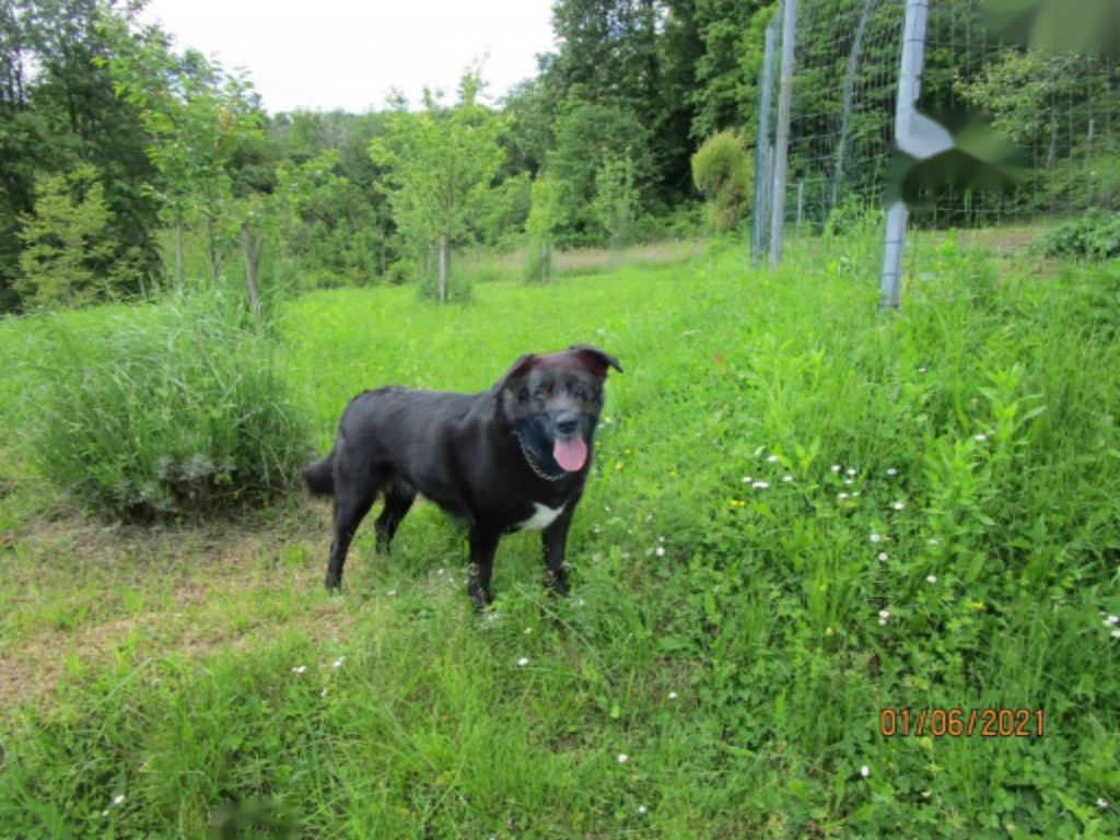 Дом в Опатии, Хорватия, 406 м² - фото 9