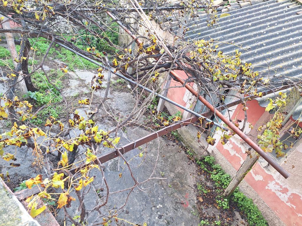 Мезонет на Корфу, Греция, 145 м² - фото 15