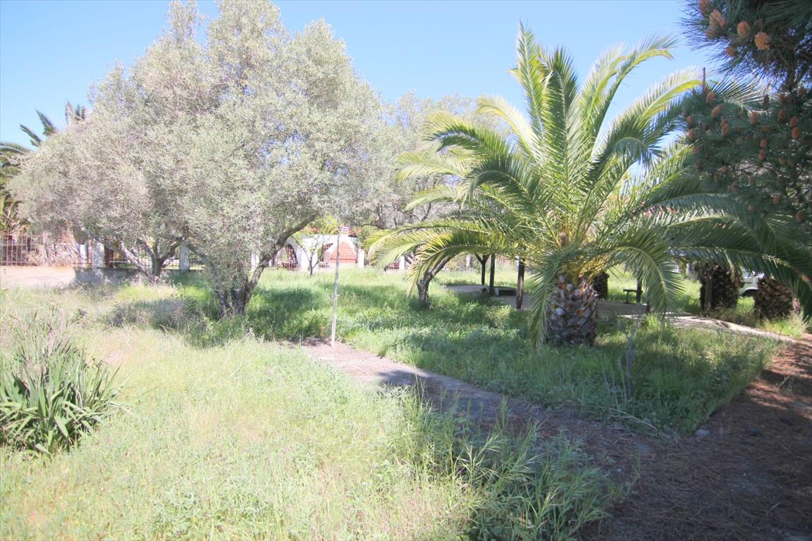 Дом в Ситонии, Греция, 145 м² - фото 16