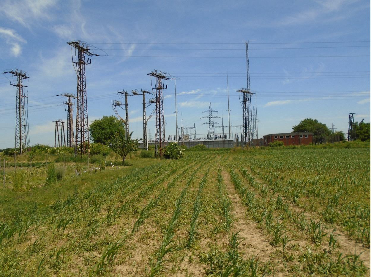 Земля Kapuvár, Венгрия, 105 000 м² - фото 2