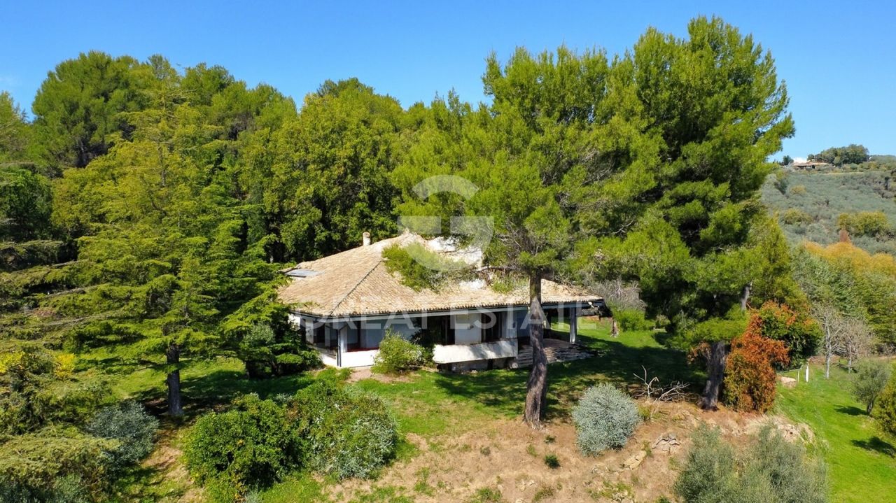 Вилла в Каннаре, Италия, 498.2 м² - фото 7