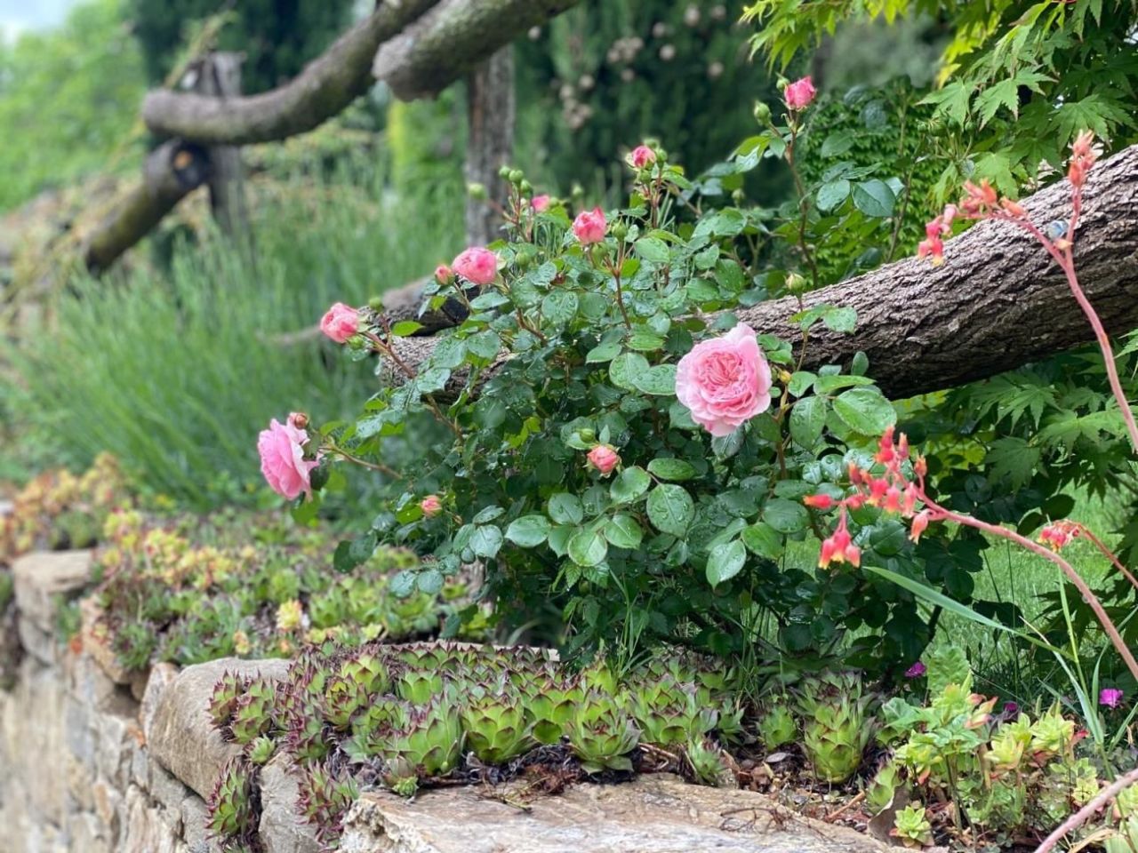 Вилла Groznjan, Хорватия, 339 м² - фото 14