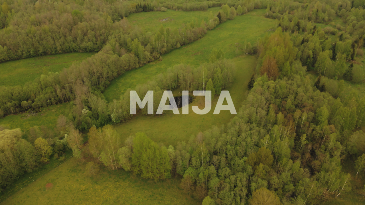 Дом Pelēči, Латвия, 170 м² - фото 4