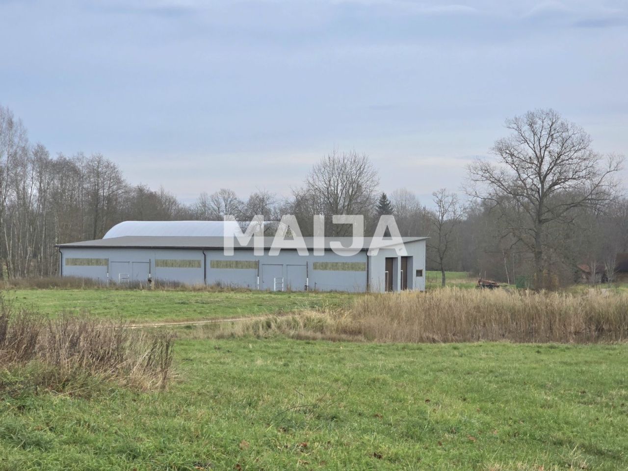 Дом Pelēči, Латвия, 170 м² - фото 19