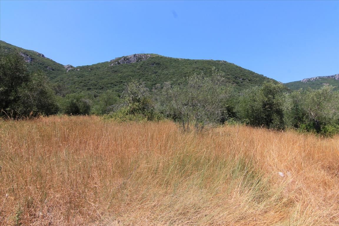 Земля на Корфу, Греция, 7 000 м² - фото 2