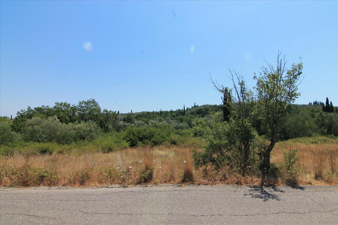 Земля на Корфу, Греция, 7 000 м² - фото 5