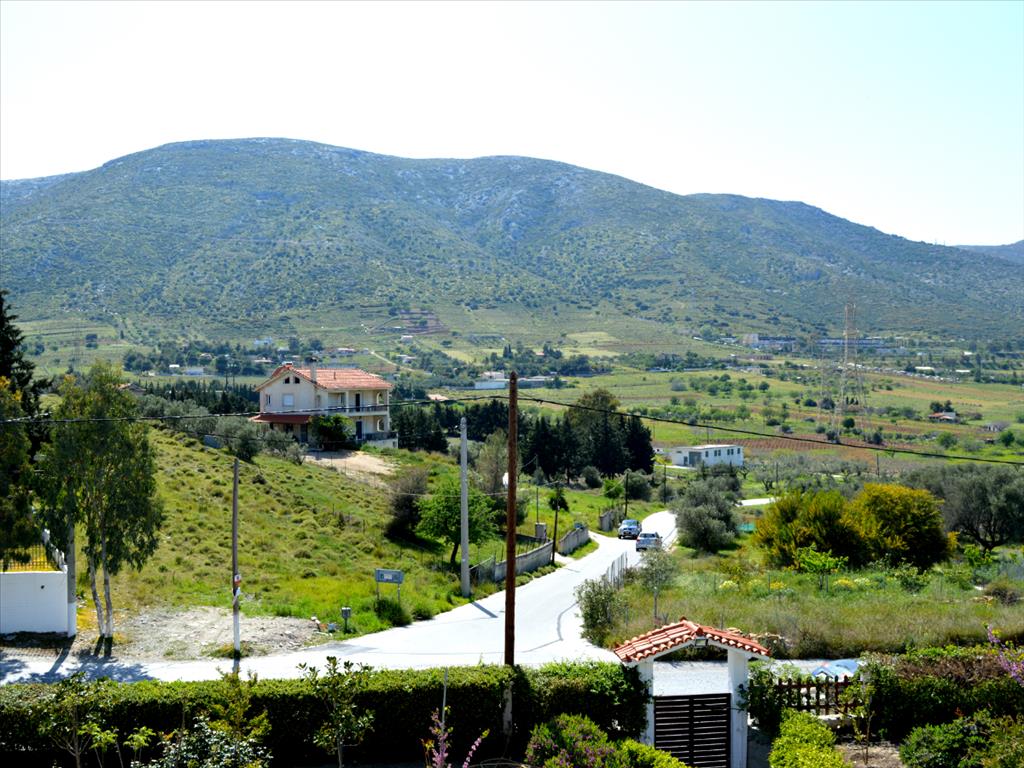 Дом в Аттике, Греция, 464 м² - фото 11