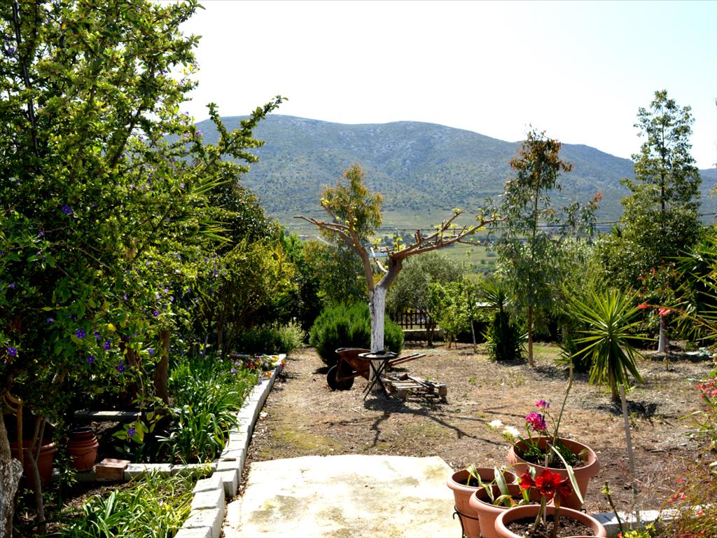 Дом в Аттике, Греция, 464 м² - фото 14