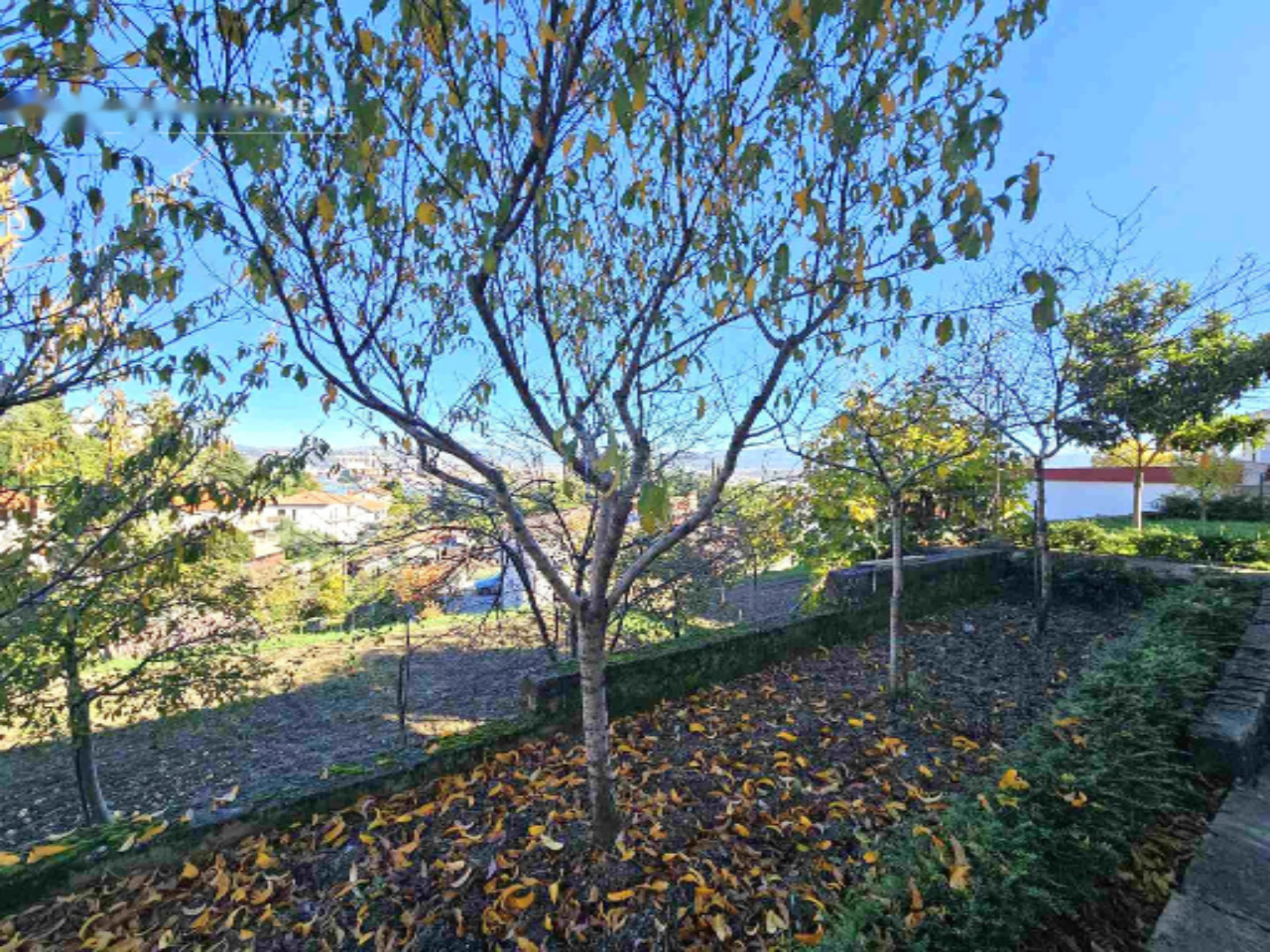 Дом в Копере, Словения, 243 м² - фото 8