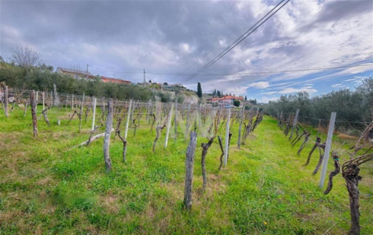 Дом в Портороже, Словения, 316 м² - фото 9