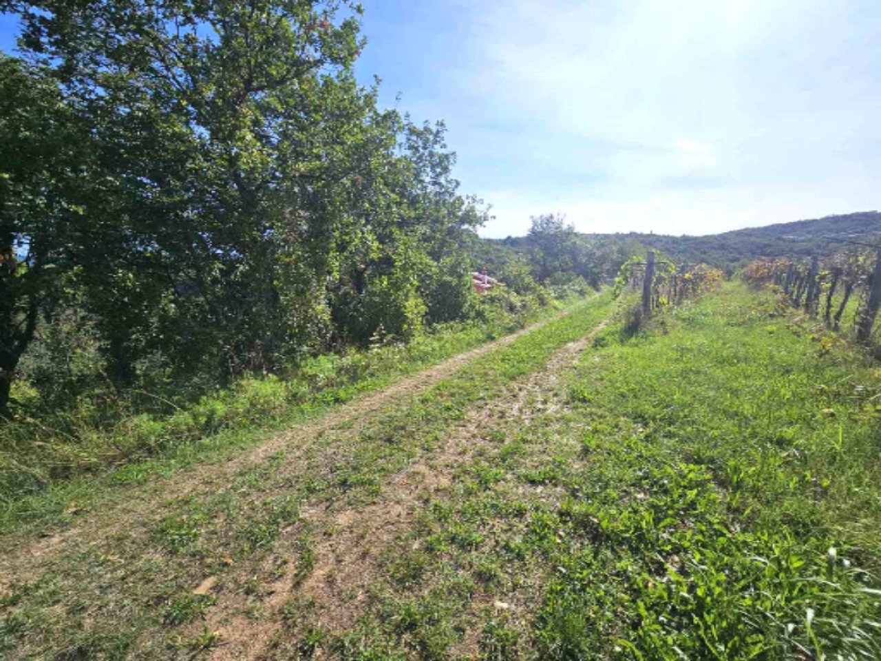 Дом в Портороже, Словения, 220 м² - фото 7