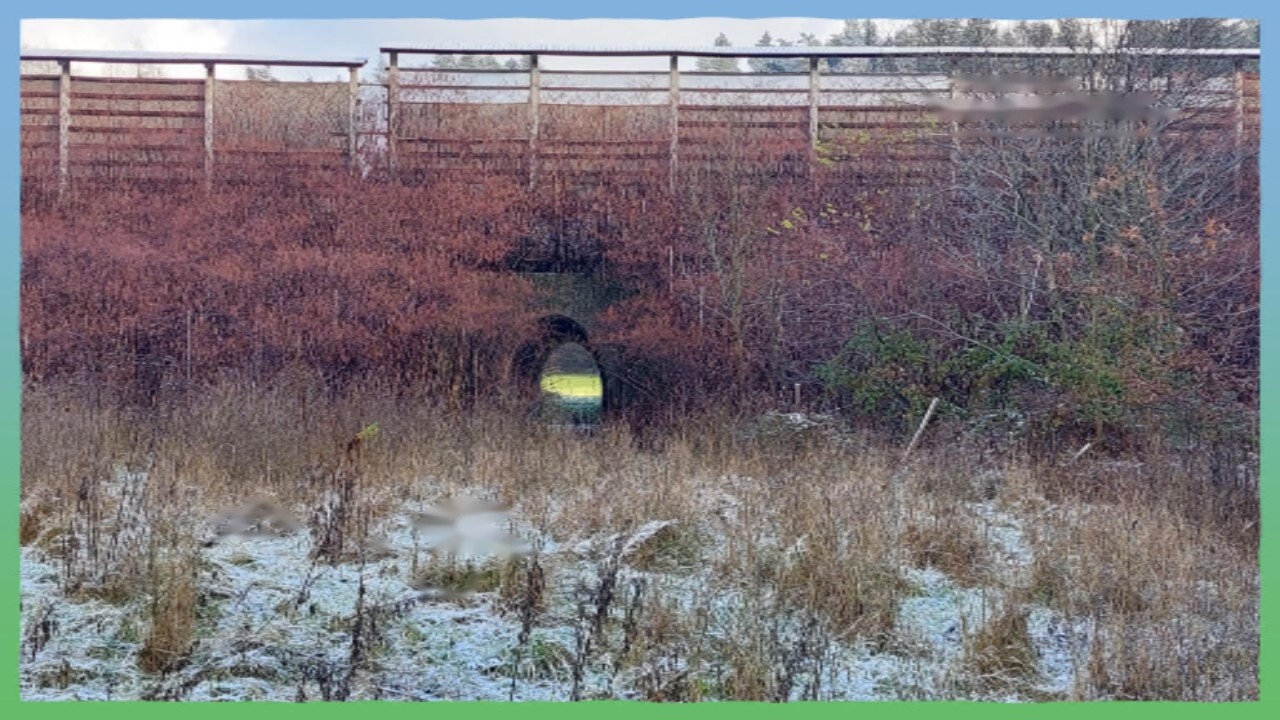 Ферма в Кране, Словения, 33 136 м² - фото 12