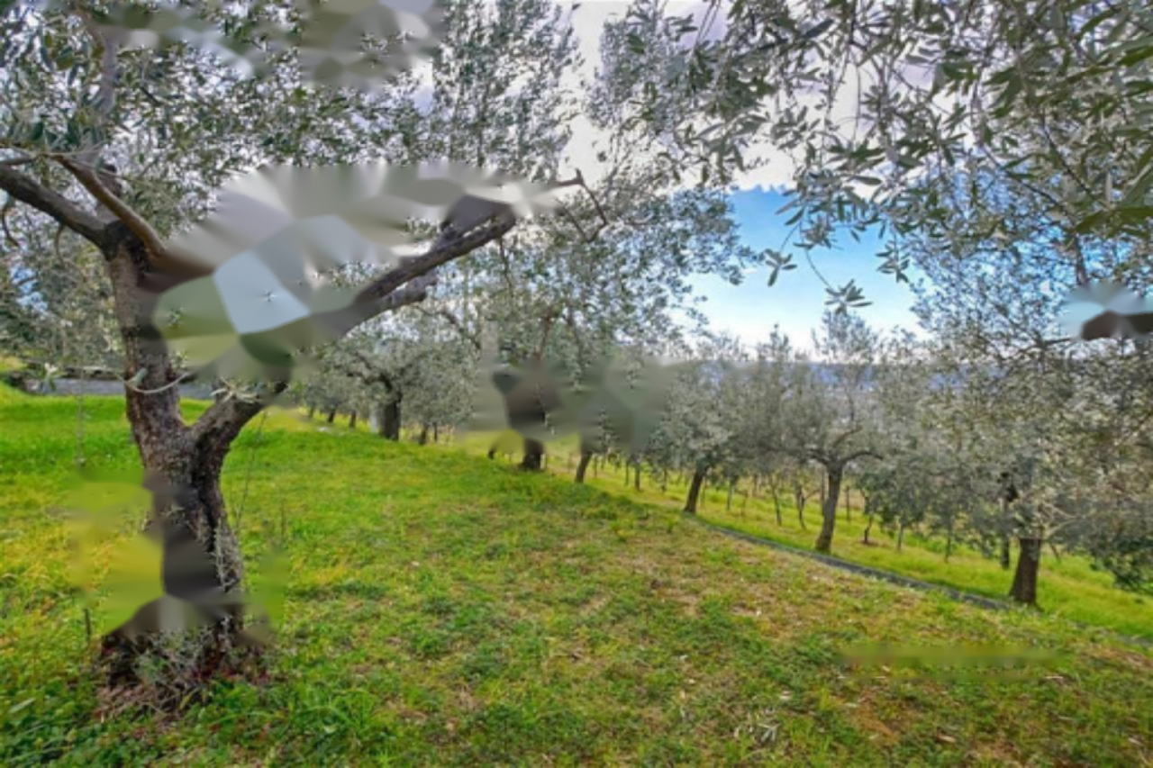 Дом в Портороже, Словения, 316 м² - фото 12