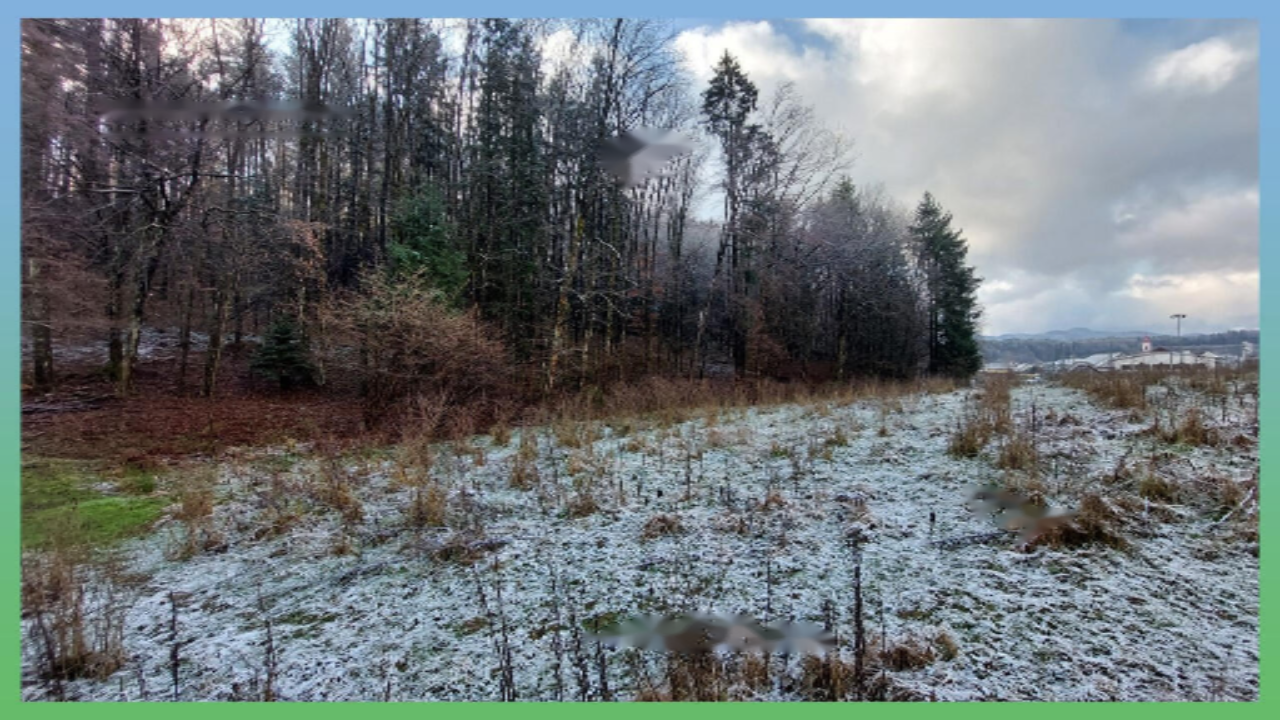 Ферма в Кране, Словения, 33 136 м² - фото 15