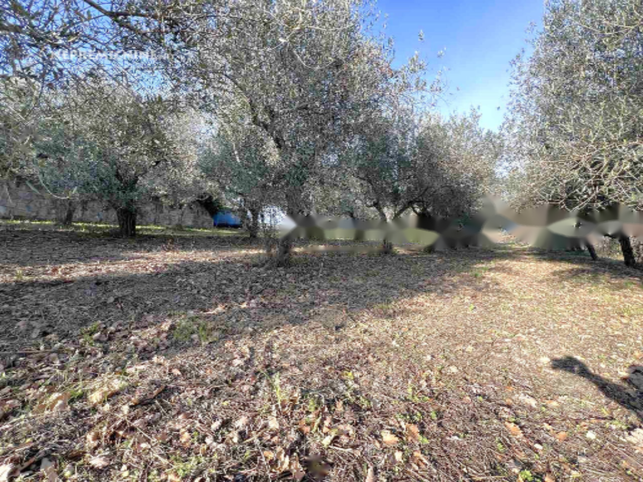 Дом в Копере, Словения, 462 м² - фото 19