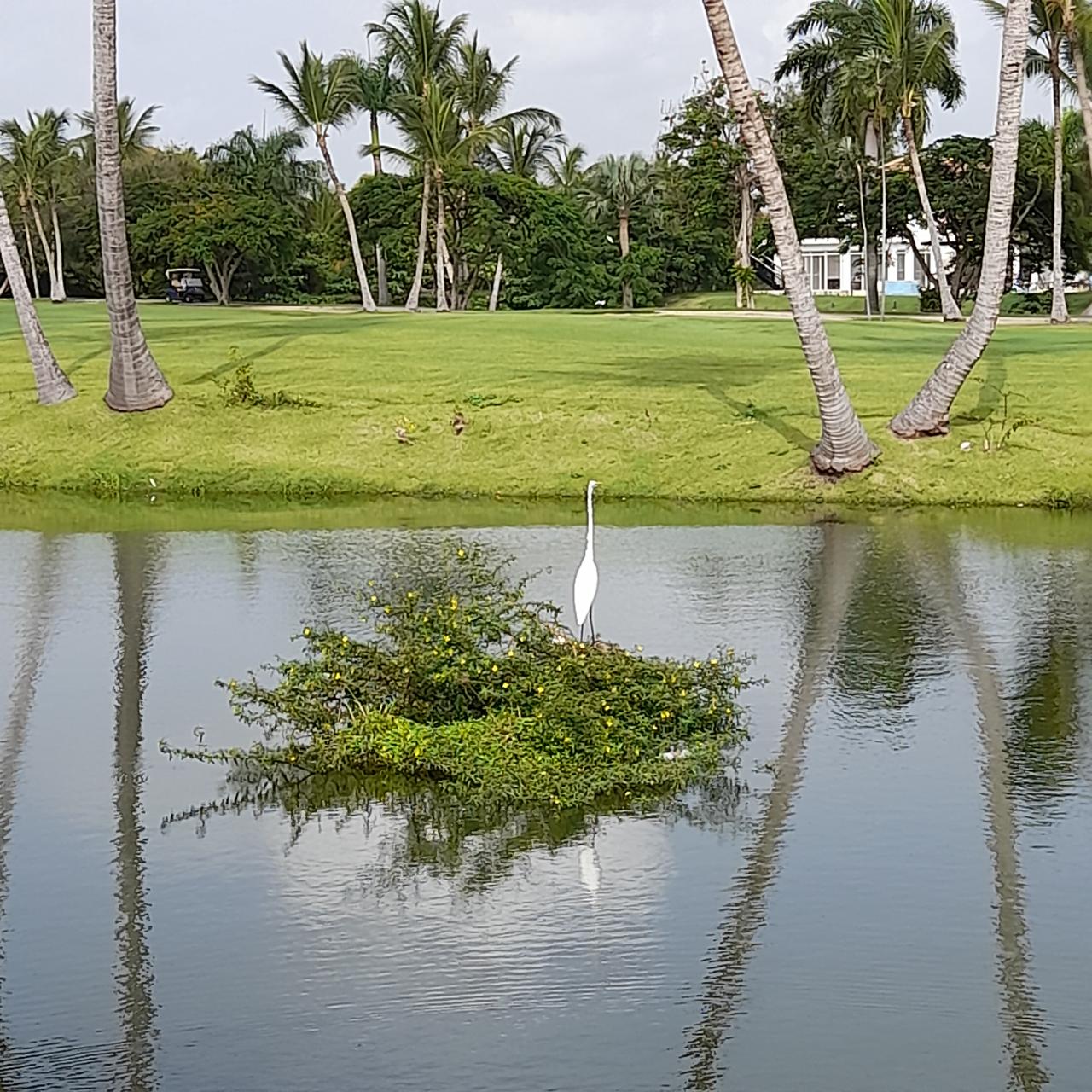 Вилла в Баваро, Доминиканская Республика, 300 м² - фото 6