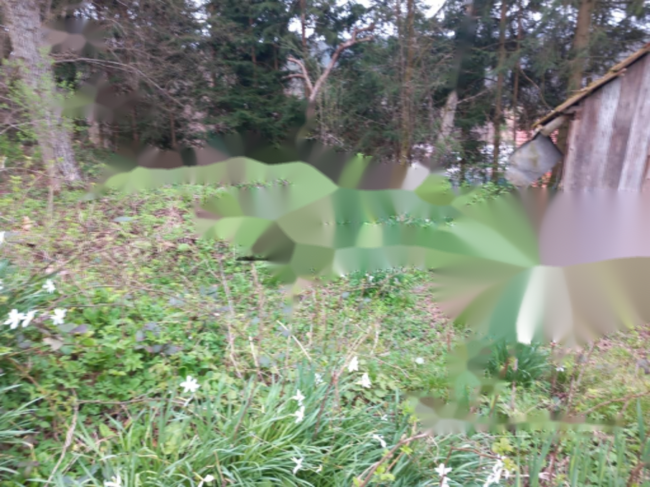 Земля в Любляне, Словения, 754 м² - фото 2