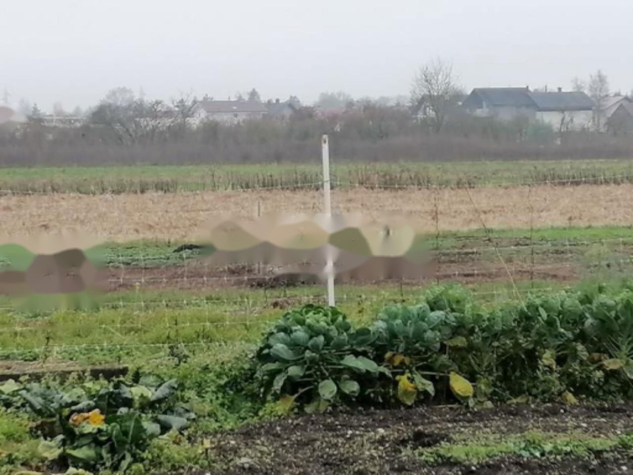 Земля в Любляне, Словения, 3 156 м² - фото 3